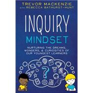 Inquiry Mindset