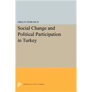 Social Change and Political Participation in Turkey