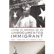 Living in America As an Undocumented Immigrant: How I Survived the Ordeal