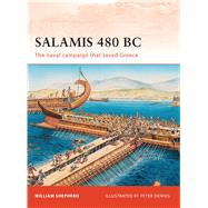 Salamis 480 BC The naval campaign that saved Greece