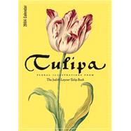 Tulipa 2004 Calendar