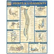 Joints and Ligaments