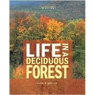Life in a Deciduous Forest