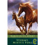 Stormy : Misty's Foal