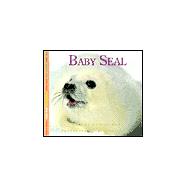 Baby Seal