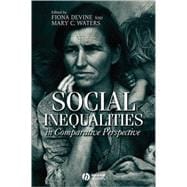 Social Inequalities in Comparative Perspective