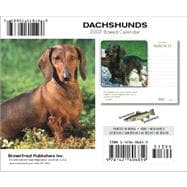 Dachshunds 2007 Calendar