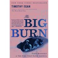 The Big Burn: Teddy Roosevelt and the Fire That Saved America