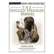 The English Springer Spaniel