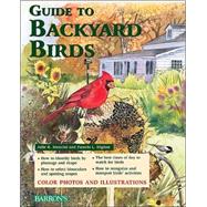 Guide to Backyard Birds