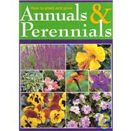 How to Plant and Grow Annuals and Perennials