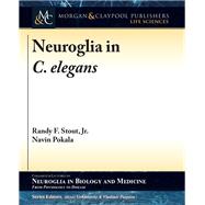 Neuroglia in C. Elegans