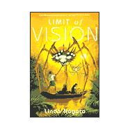 Limit of Vision