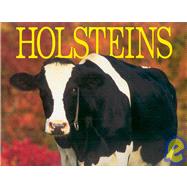 Holsteins 2006 Calendar