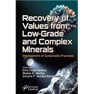 Recovery of Values from Low-Grade and Complex Minerals
