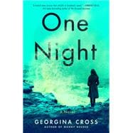 One Night A Novel