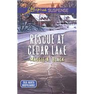 Rescue at Cedar Lake