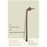 A Practice of Anthropology