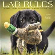 Lab Rules 2020 Calendar