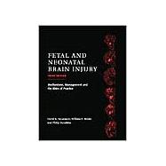 Fetal and Neonatal Brain Injury: Mechanisms, Management and the Risks of Practice