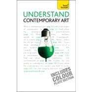 Understand Contemporary Art: A Teach Yourself Guide