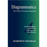 Diagrammatica: The Path to Feynman Diagrams