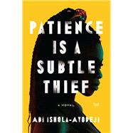 Patience Is a Subtle Thief book cover, ISBN 9780063116924