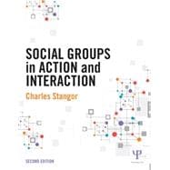 Social Groups in Action and Interaction: 2nd Edition