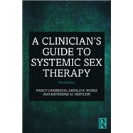 A Clinician's Guide to Systemic Sex Therapy