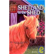 Shetland in the Shed