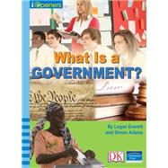 iOpener: What is a Government