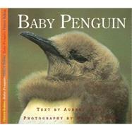 Baby Penguin