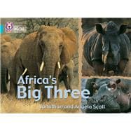 Africa's Big Three Band 07/Turquoise