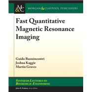 Fast Quantitative Magnetic Resonance Imaging
