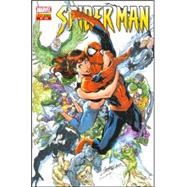 Spiderman #22