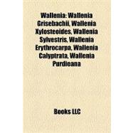 Walleni : Wallenia Grisebachii, Wallenia Xylosteoides, Wallenia Sylvestris, Wallenia Erythrocarpa, Wallenia Calyptrata, Wallenia Purdieana