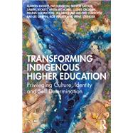 Transforming Indigenous Higher Education