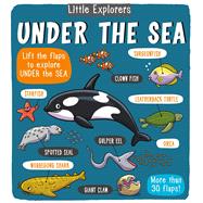 Little Explorers Under the Sea