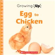 Egg to Chicken (Growing Up)
