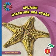 Discover Sea Stars