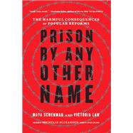 Prison by Any Other Name