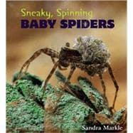 Sneaky, Spinning Baby Spiders