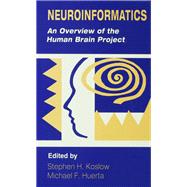 Neuroinformatics: An Overview of the Human Brain Project