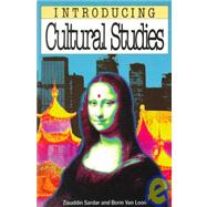 Introducing Cultural Studies