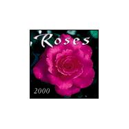 Roses 2000