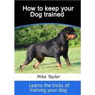 How to Keep Your Dog Trained