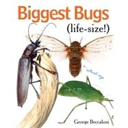 Biggest Bugs Life-size