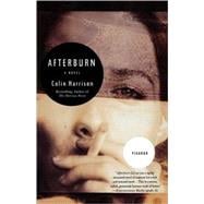 Afterburn A Novel