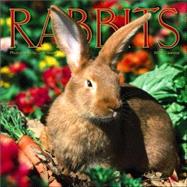 Rabbits 2006 Calendar