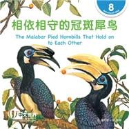 ????????? The Malabar Pied Hornbills That Hold on to Each Other (Level 8)
